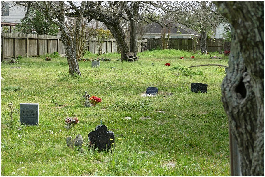 Caring Pet Burial in Houston, TX